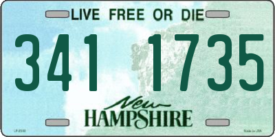 NH license plate 3411735