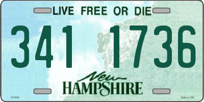 NH license plate 3411736