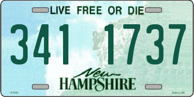 NH license plate 3411737