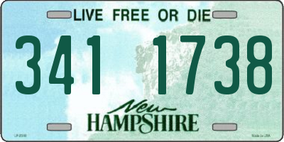 NH license plate 3411738