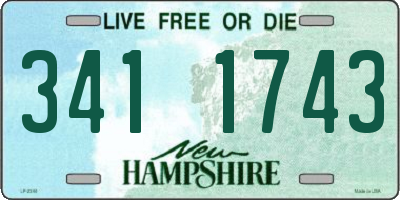 NH license plate 3411743
