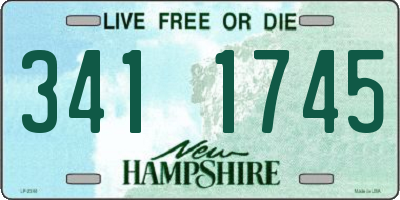 NH license plate 3411745