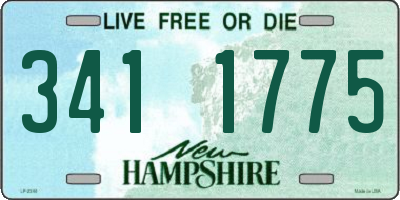NH license plate 3411775