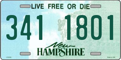 NH license plate 3411801