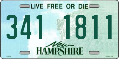 NH license plate 3411811