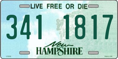 NH license plate 3411817
