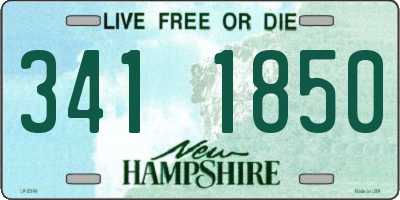 NH license plate 3411850