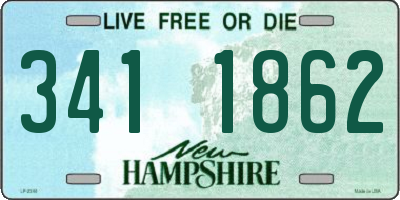 NH license plate 3411862
