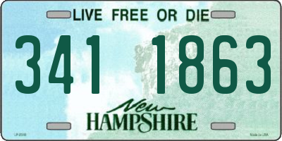 NH license plate 3411863