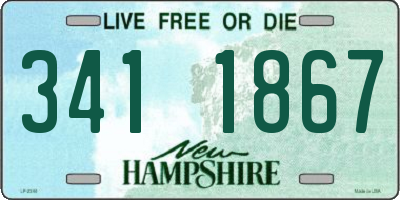 NH license plate 3411867