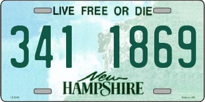 NH license plate 3411869