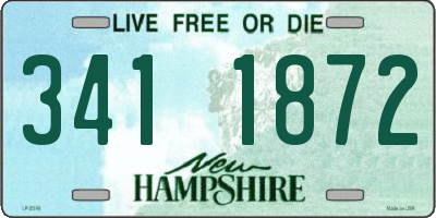 NH license plate 3411872
