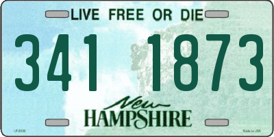 NH license plate 3411873