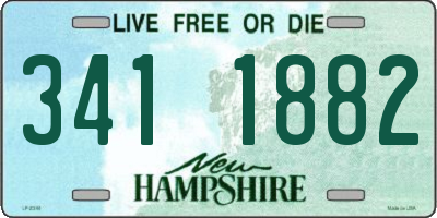 NH license plate 3411882