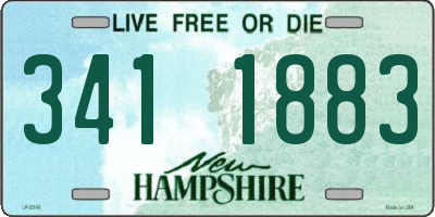 NH license plate 3411883