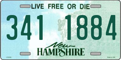 NH license plate 3411884