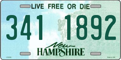 NH license plate 3411892