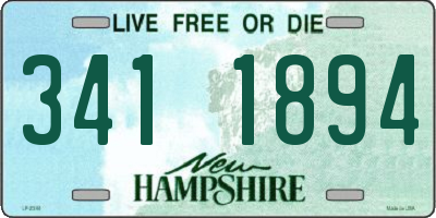 NH license plate 3411894