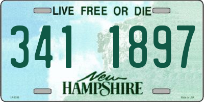 NH license plate 3411897