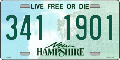 NH license plate 3411901