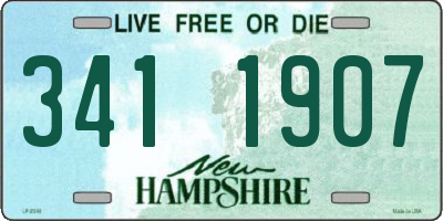 NH license plate 3411907