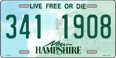 NH license plate 3411908