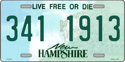 NH license plate 3411913