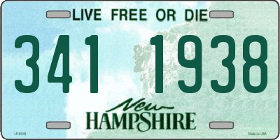 NH license plate 3411938