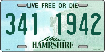 NH license plate 3411942