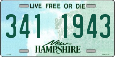 NH license plate 3411943
