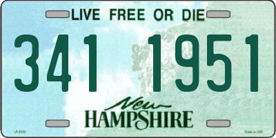 NH license plate 3411951