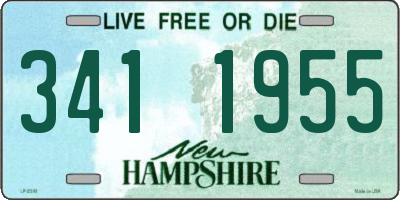 NH license plate 3411955