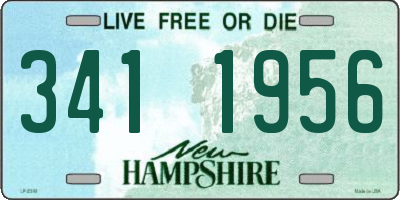 NH license plate 3411956