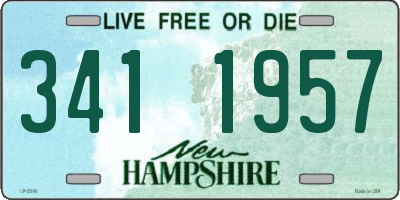 NH license plate 3411957
