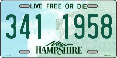 NH license plate 3411958