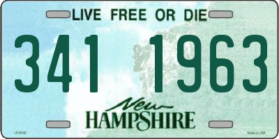 NH license plate 3411963