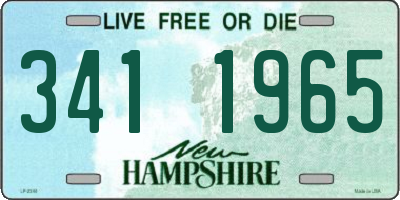 NH license plate 3411965