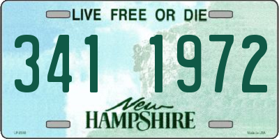 NH license plate 3411972