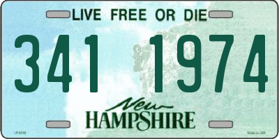 NH license plate 3411974