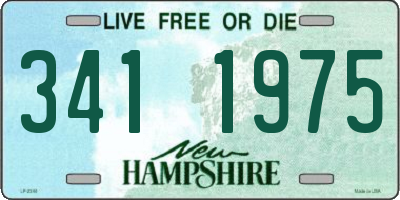 NH license plate 3411975