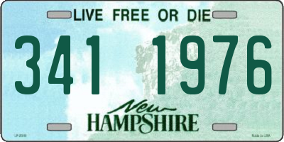 NH license plate 3411976