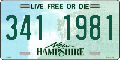 NH license plate 3411981