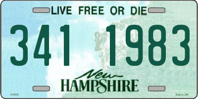 NH license plate 3411983