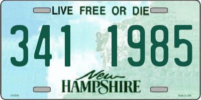 NH license plate 3411985