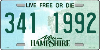 NH license plate 3411992
