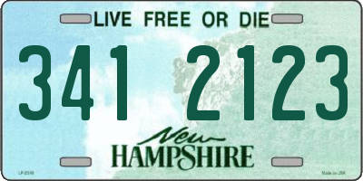 NH license plate 3412123
