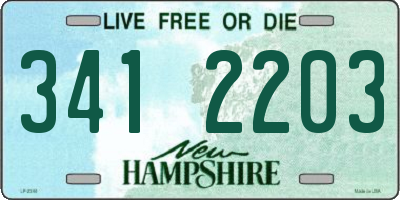 NH license plate 3412203