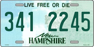NH license plate 3412245