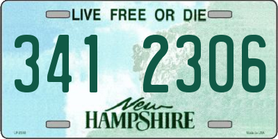 NH license plate 3412306
