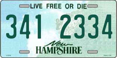 NH license plate 3412334